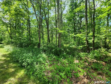 11 Old Paddock Lane Kent CT 06757