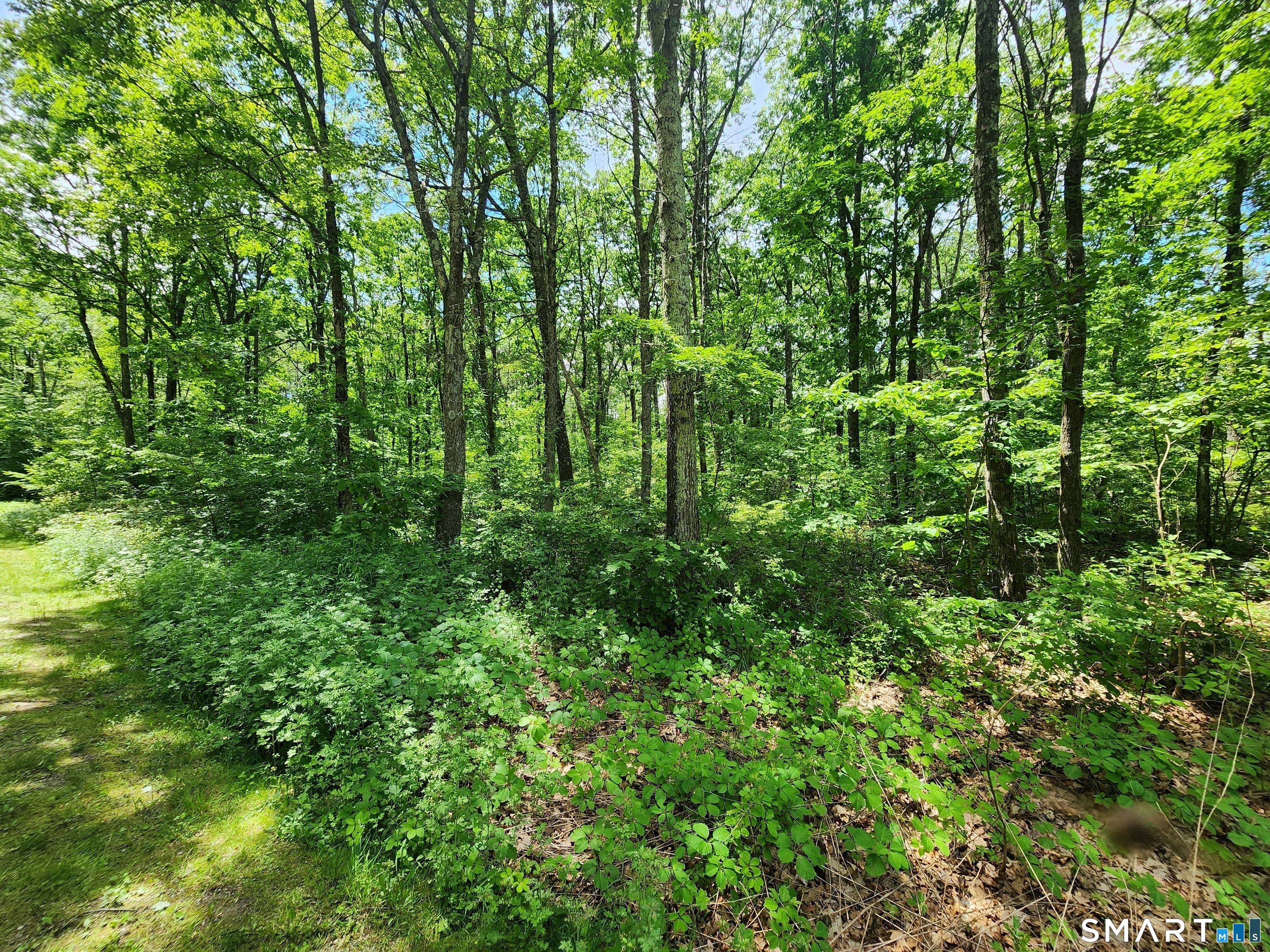 11 Old Paddock Lane Kent CT 06757
