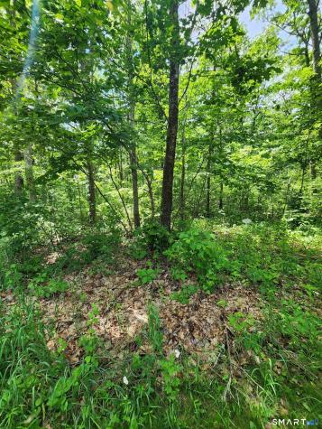 11 Old Paddock Lane Kent CT 06757