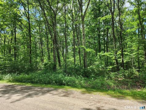 11 Old Paddock Lane Kent CT 06757