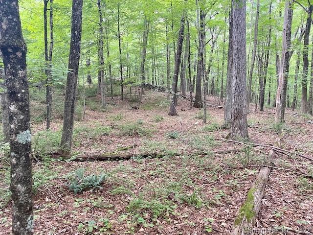 110 Moulton Road Mansfield CT 06250