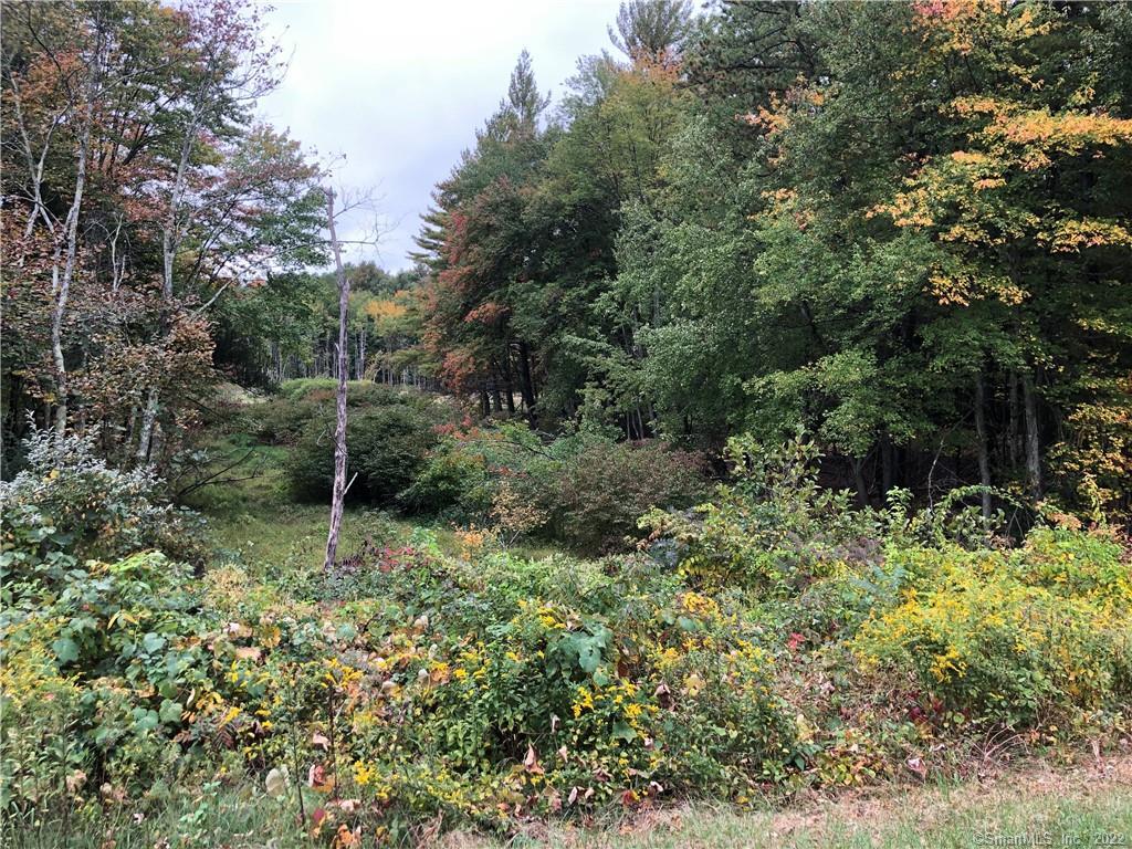 61 Brighton Drive East Granby CT 06026