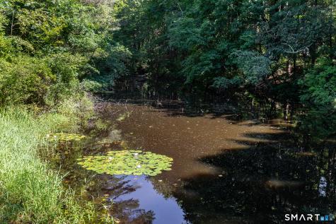 631 South Plains Road Litchfield CT 06759