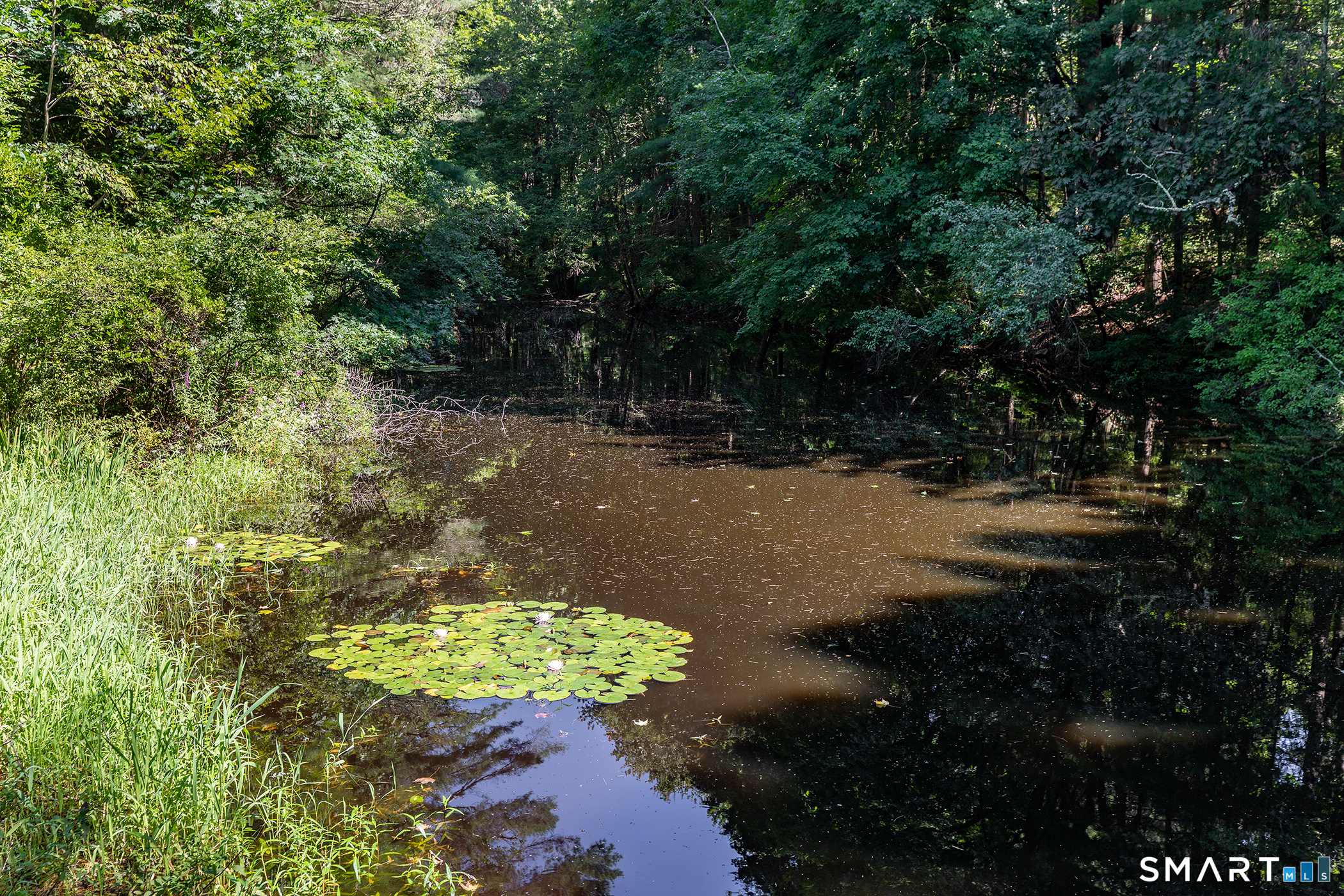 631 South Plains Road Litchfield CT 06759