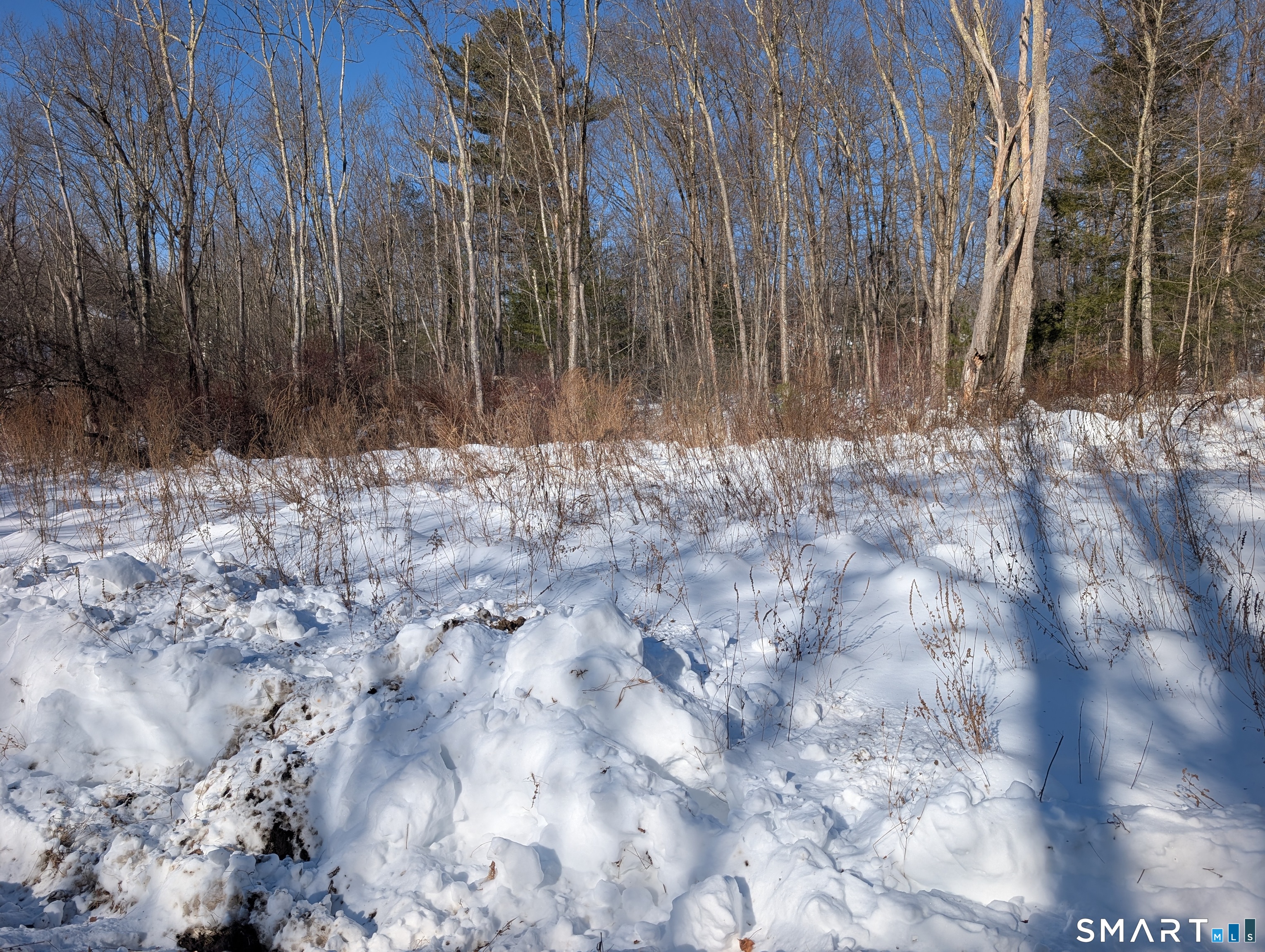 660 Torringford Street Torrington CT 06790
