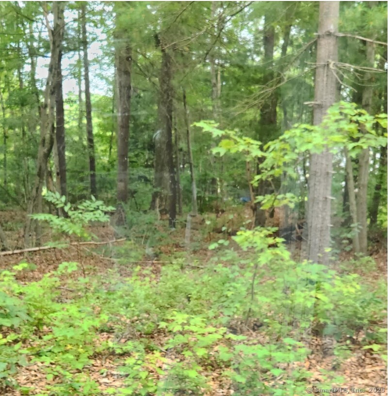 Oak Drive Mansfield CT 06250