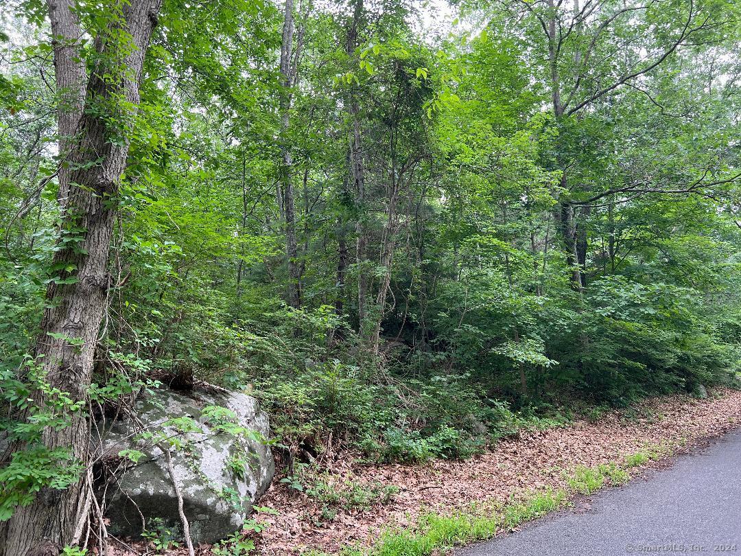 438 Cox Road Portland CT 06480