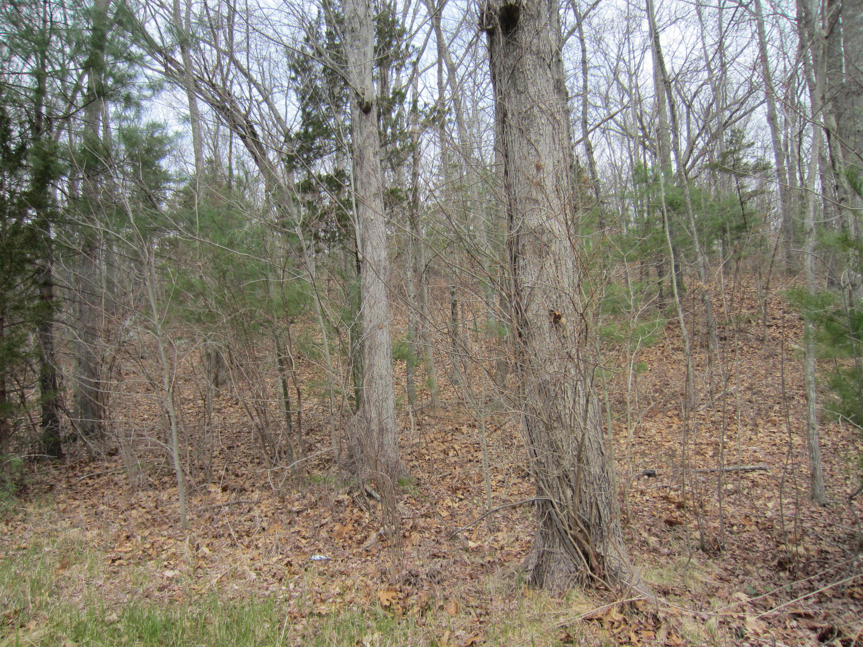 43 Fallbrook Road Killingly CT 06243