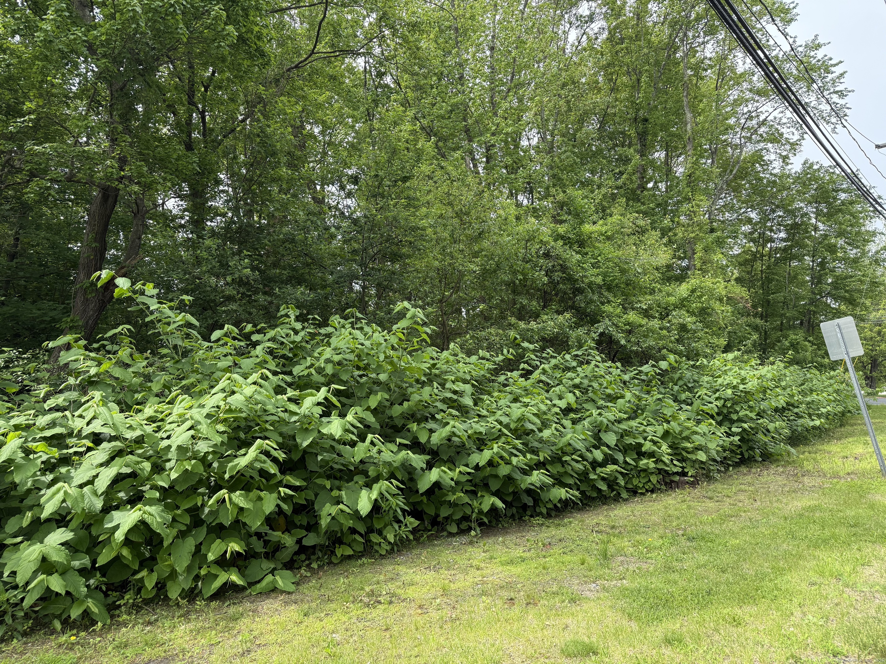 2 Sandra Avenue Plymouth CT 06786