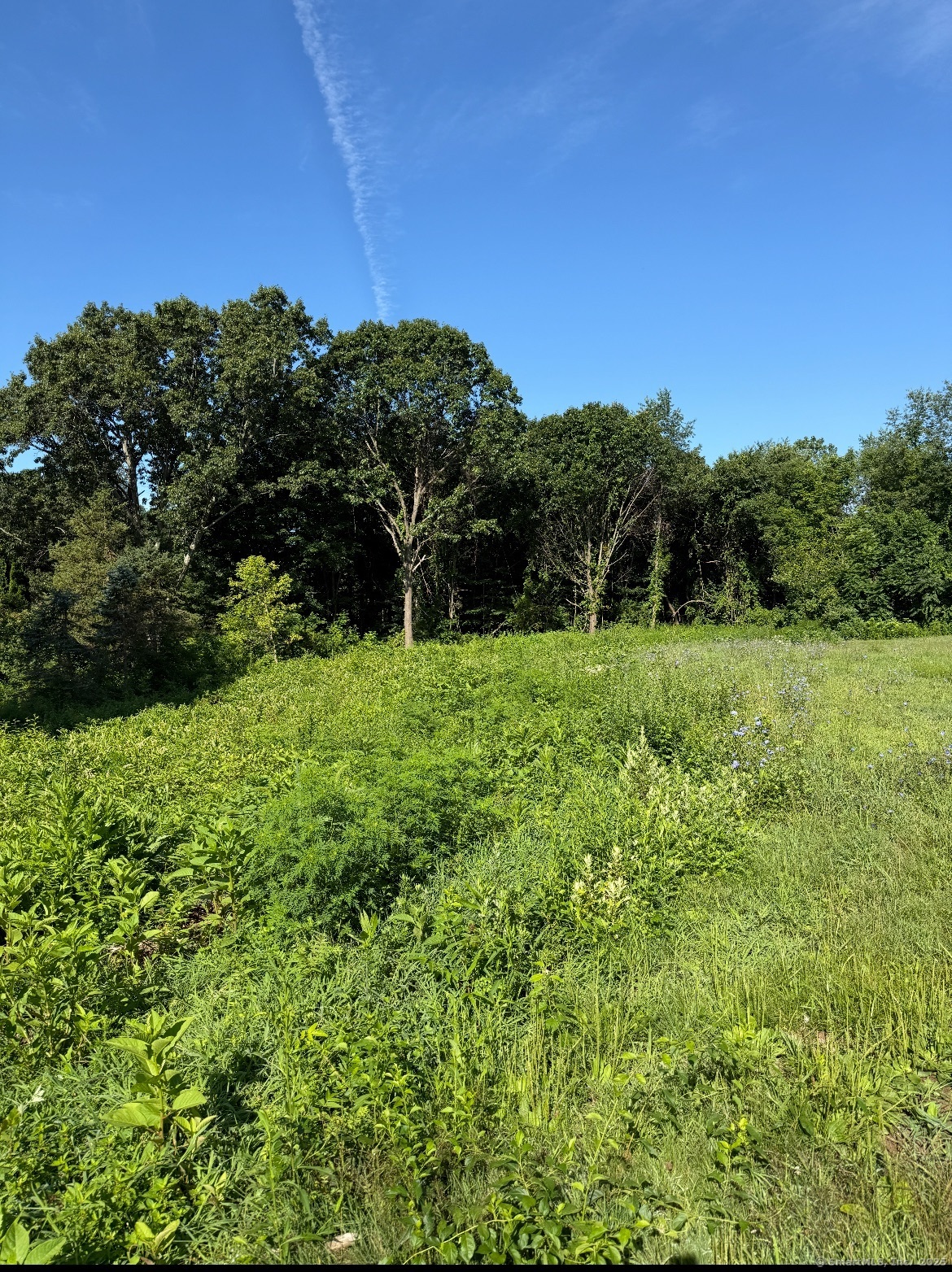 396 Gracey Avenue Meriden CT 06451