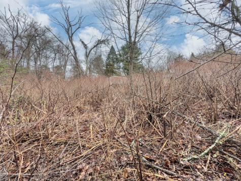 93A S Broad Street Stonington CT 06378