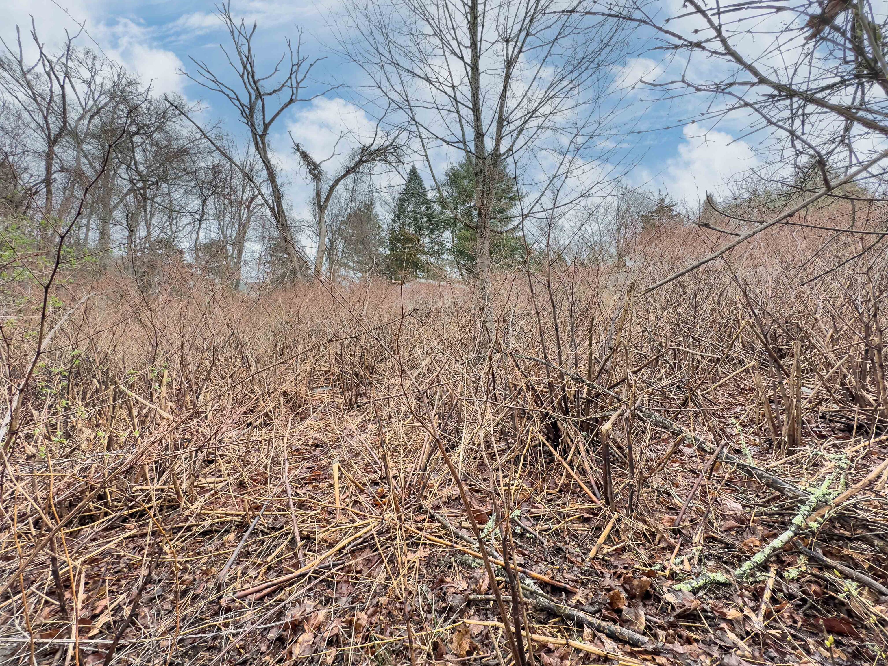 93A S Broad Street Stonington CT 06378