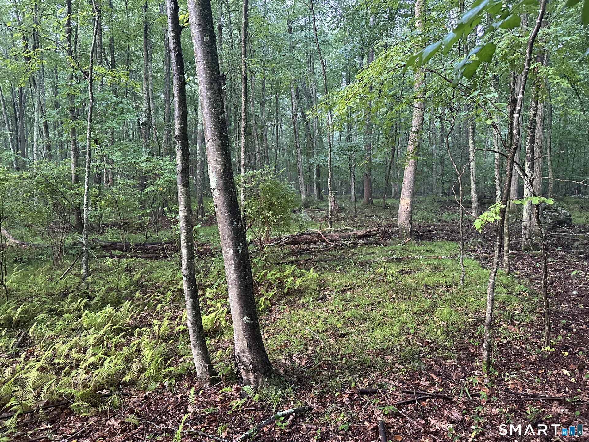 291 Hammertown Road Monroe CT 06468