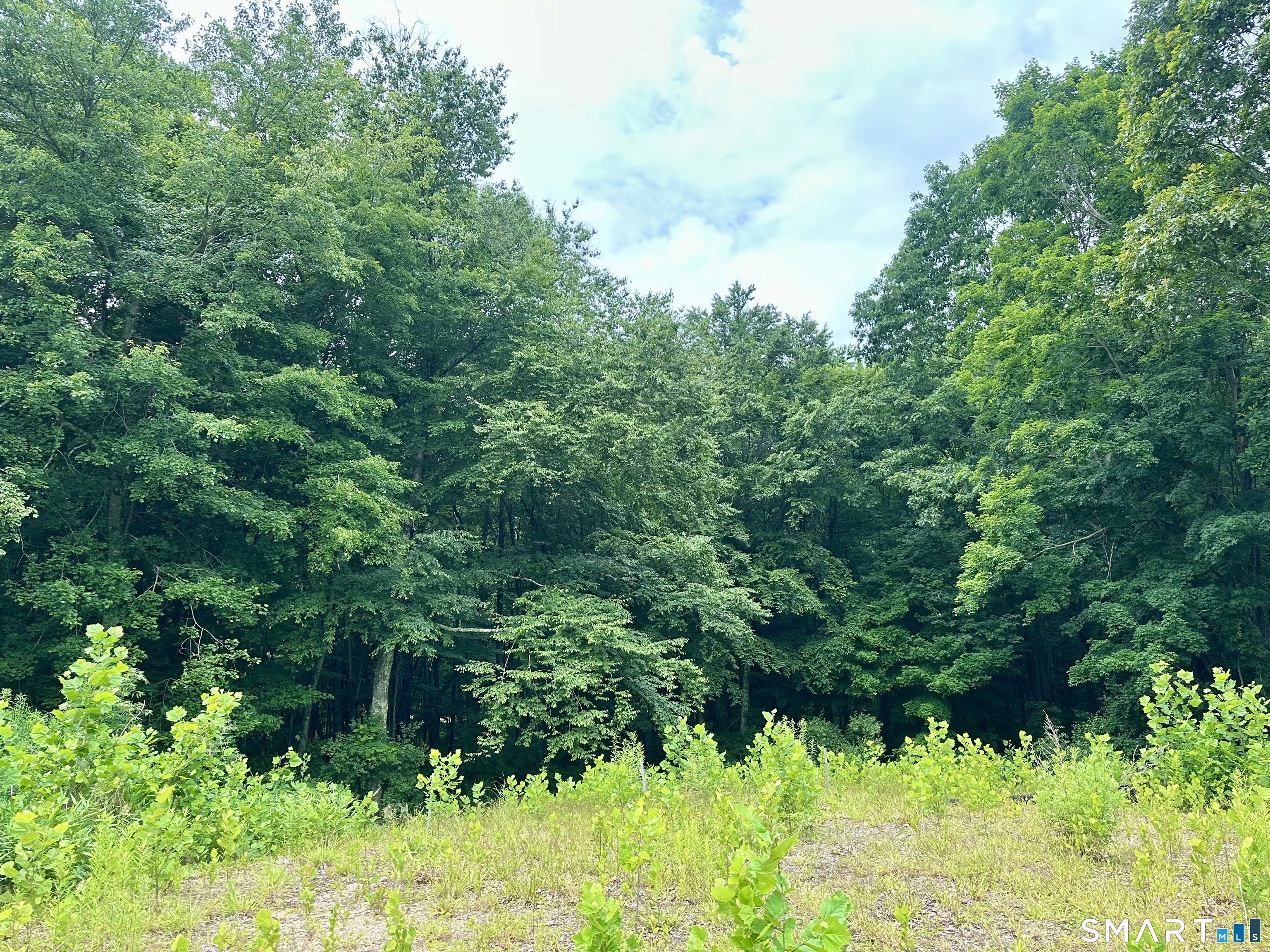 32 Birchwood Lane Woodbury CT 06798