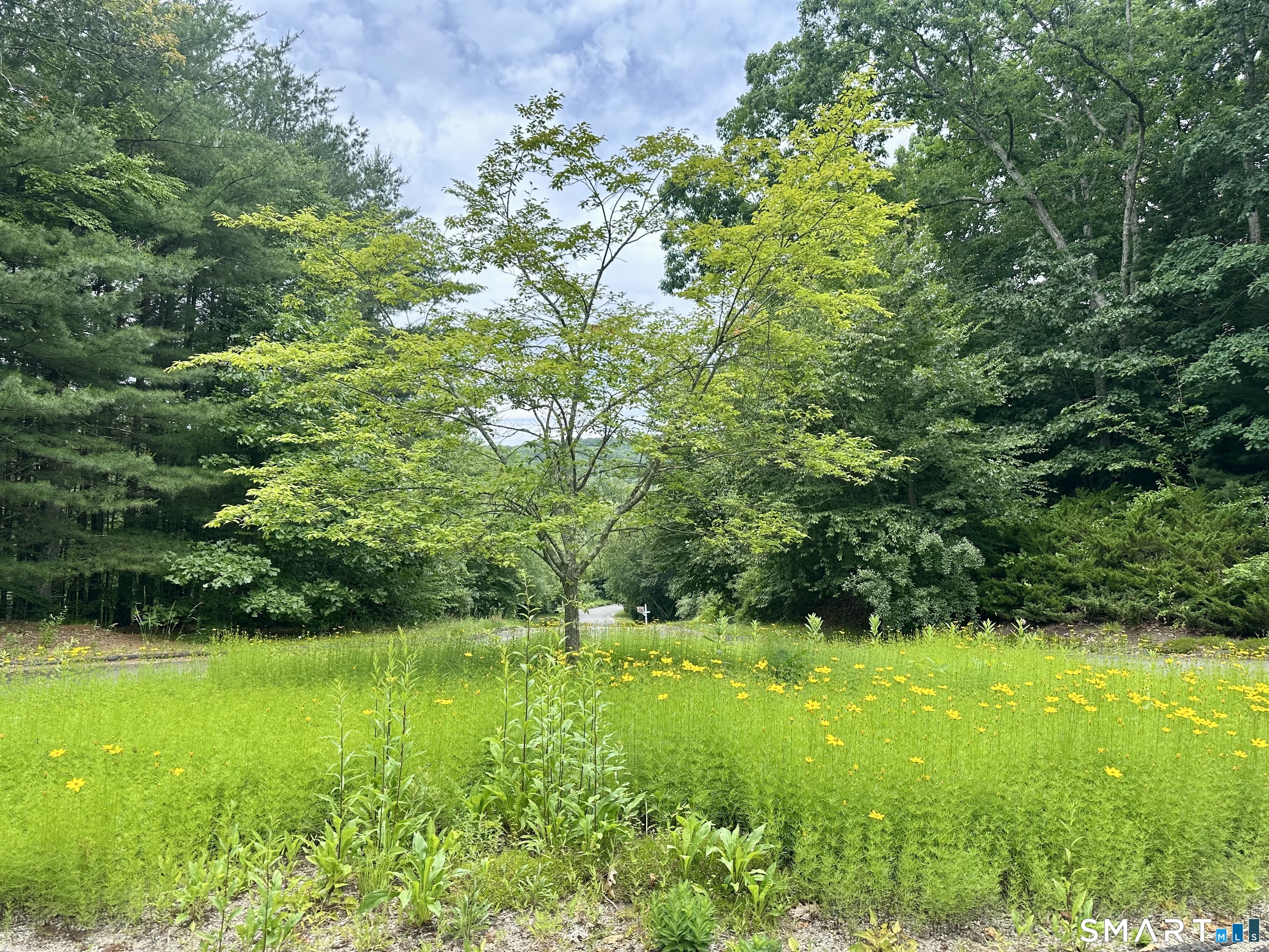 32 Birchwood Lane Woodbury CT 06798