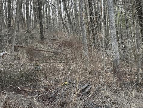 00 Torrington Road Litchfield CT 06759