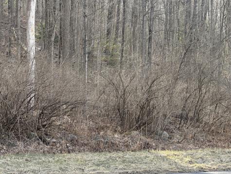 00 Torrington Road Litchfield CT 06759