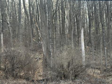 00 Torrington Road Litchfield CT 06759