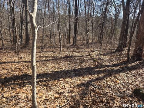 Green Hollow Road Plainfield CT 06354