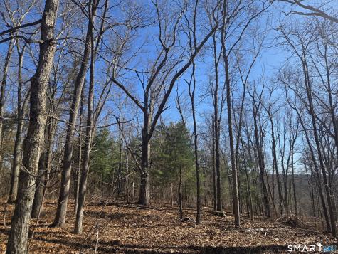 0 Green Hollow Road Plainfield CT 06354
