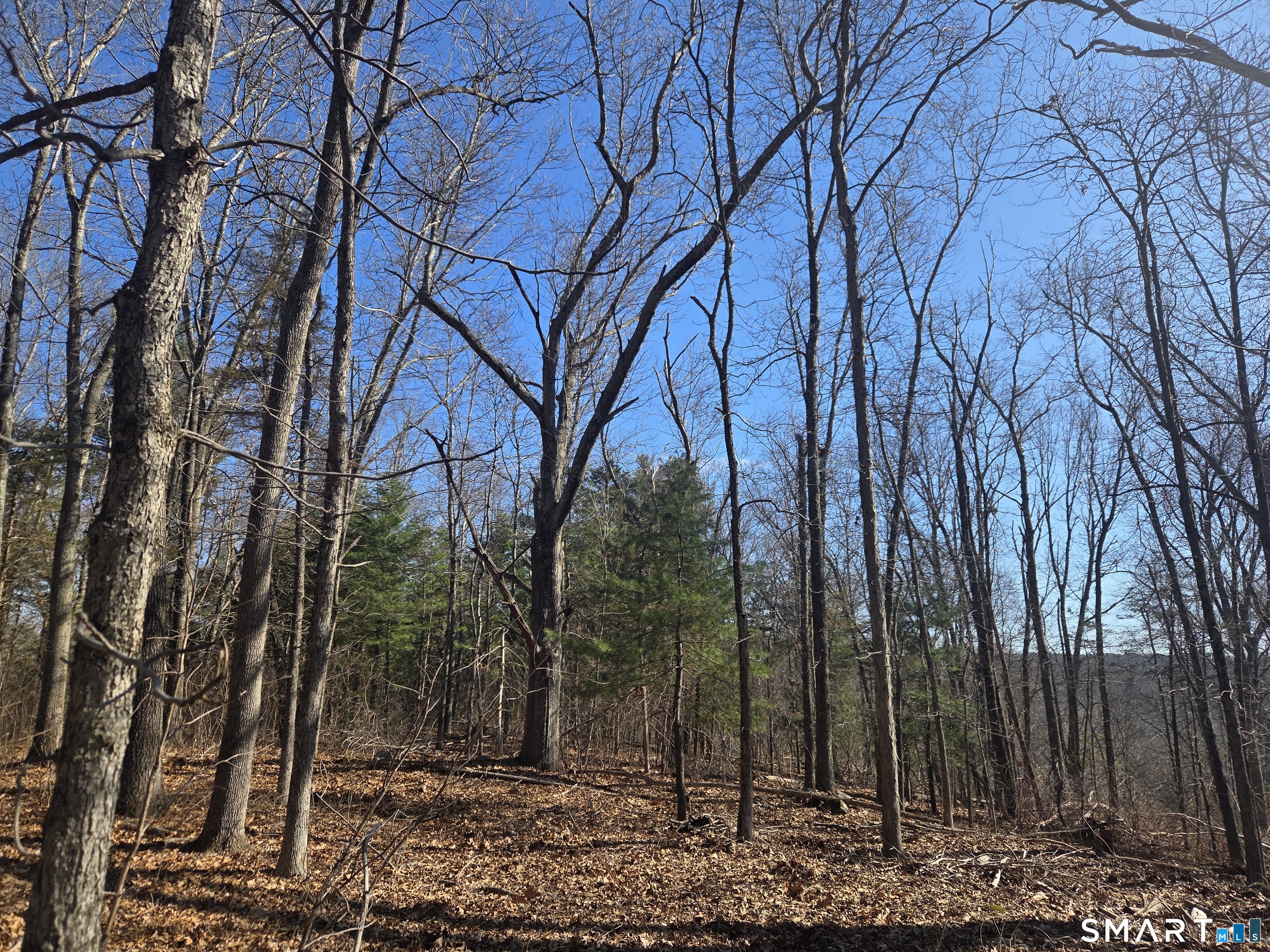 Green Hollow Road Plainfield CT 06354