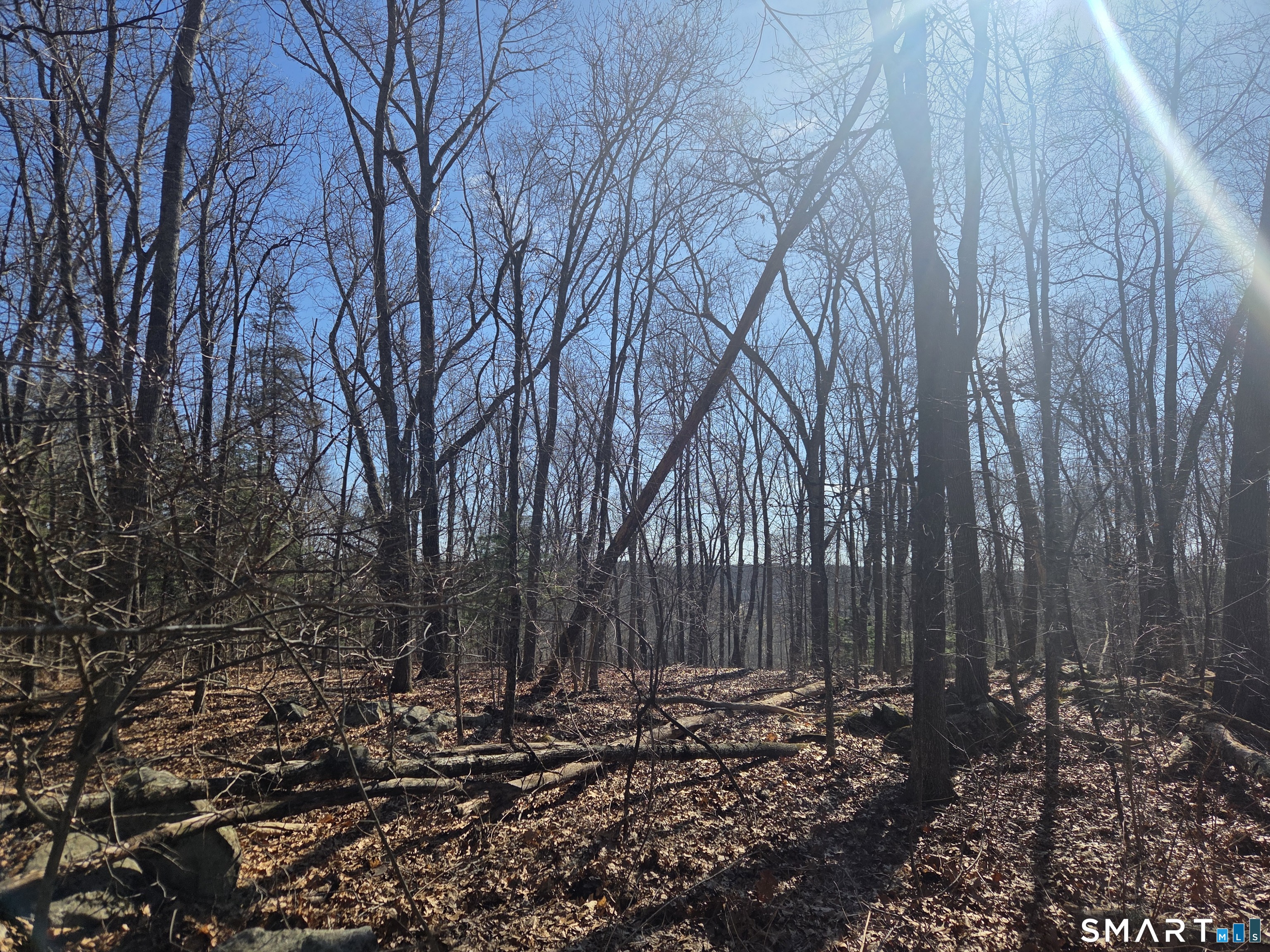 Green Hollow Road Plainfield CT 06354