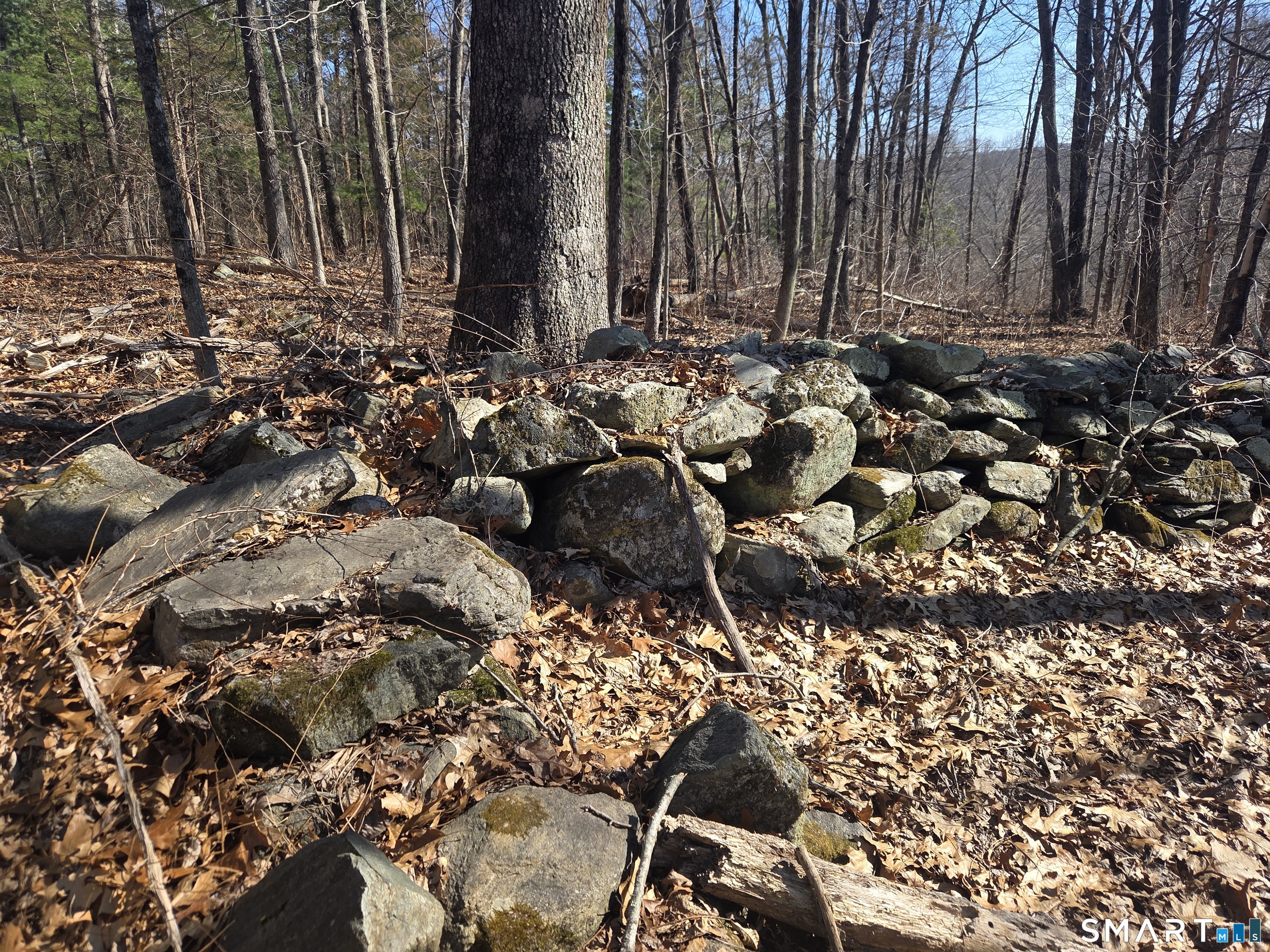 Green Hollow Road Plainfield CT 06354