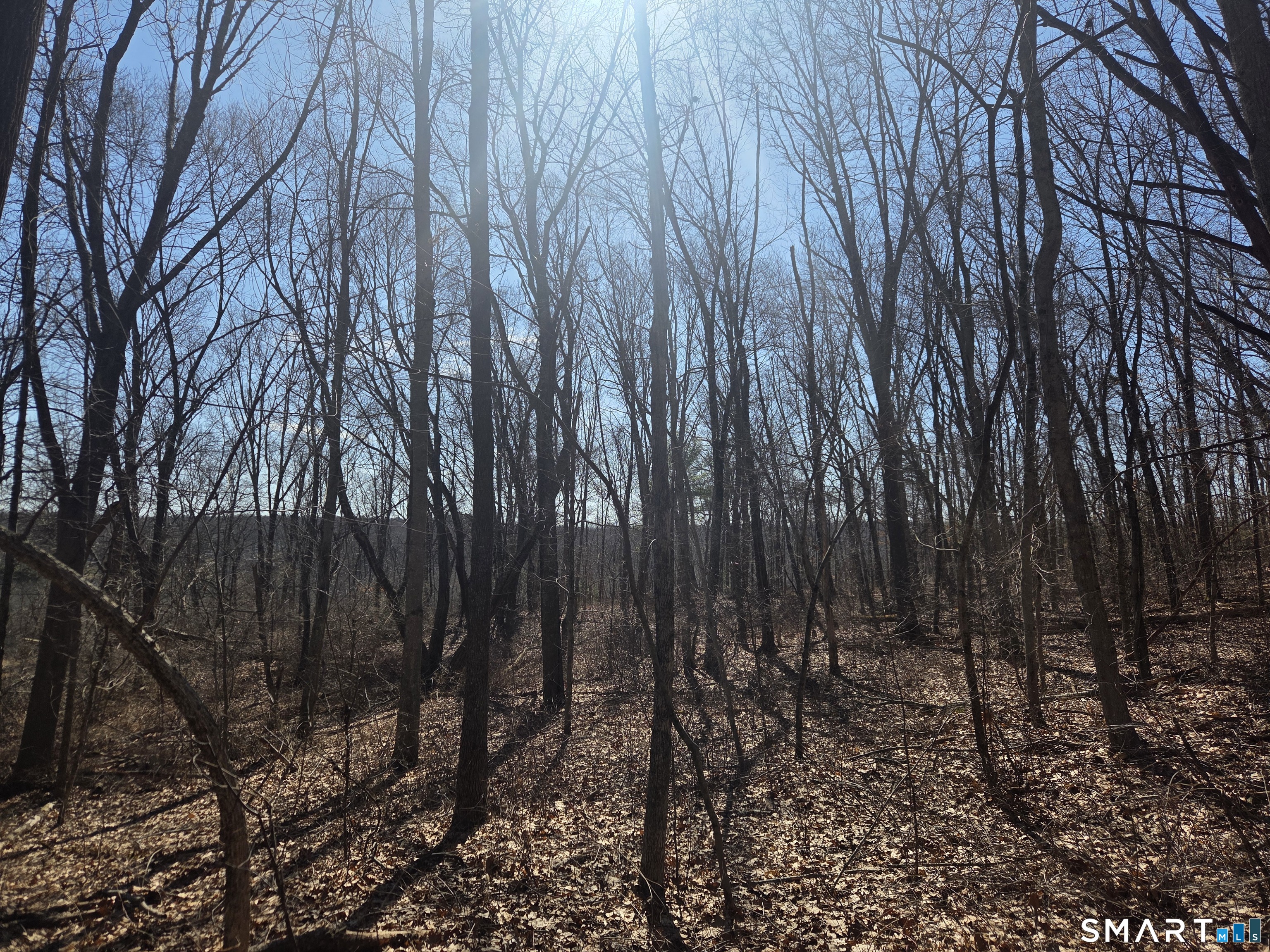 Green Hollow Road Plainfield CT 06354