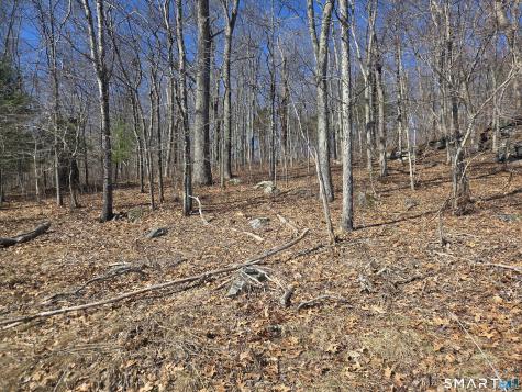 Green Hollow Road Plainfield CT 06354