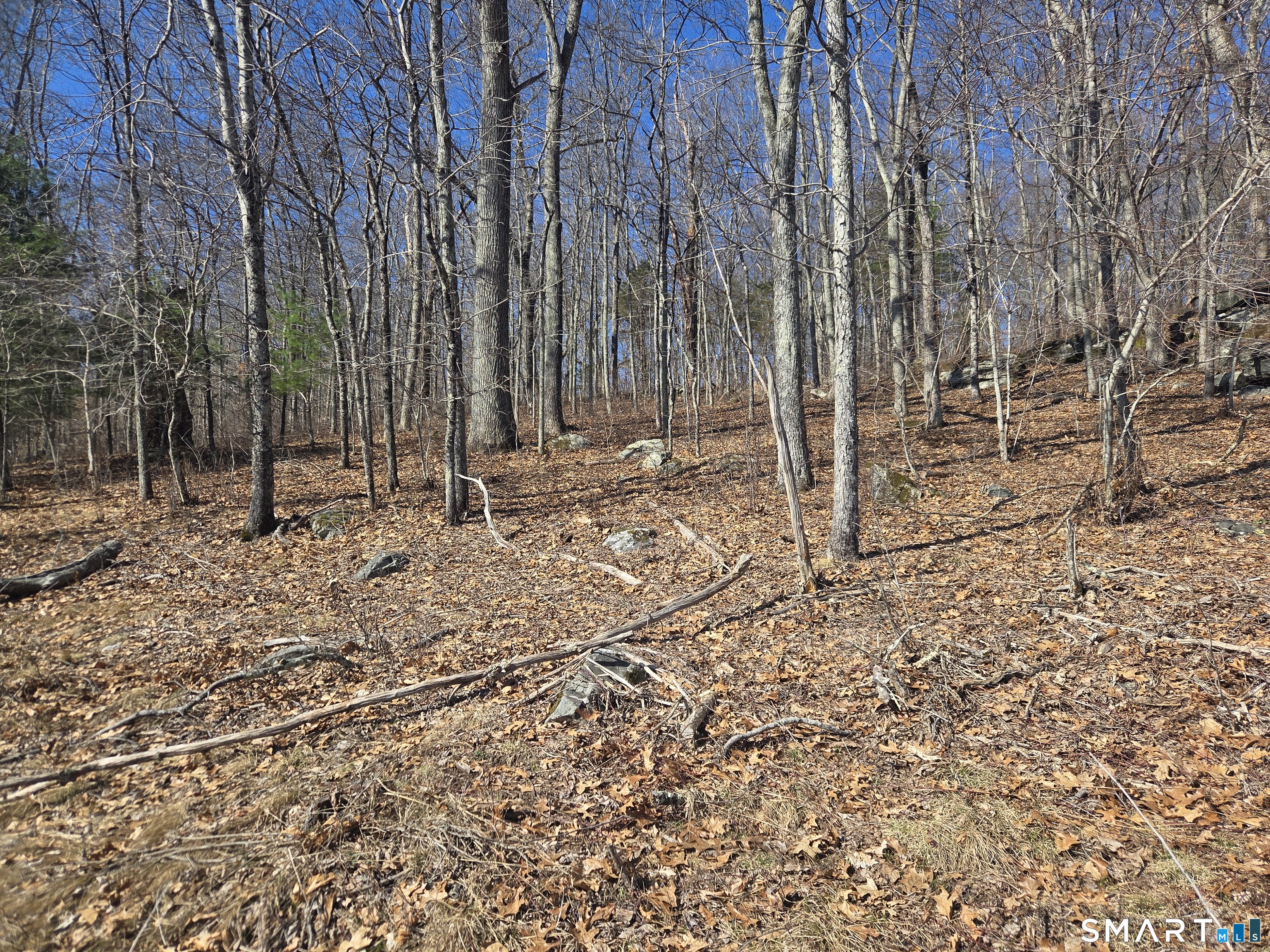 Green Hollow Road Plainfield CT 06354
