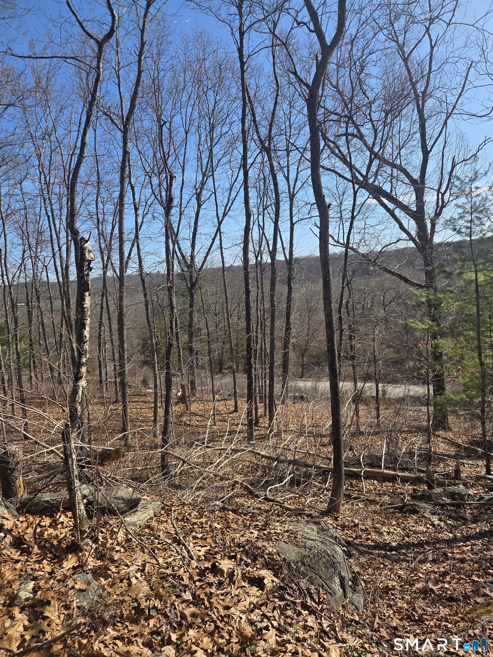Green Hollow Road Plainfield CT 06354