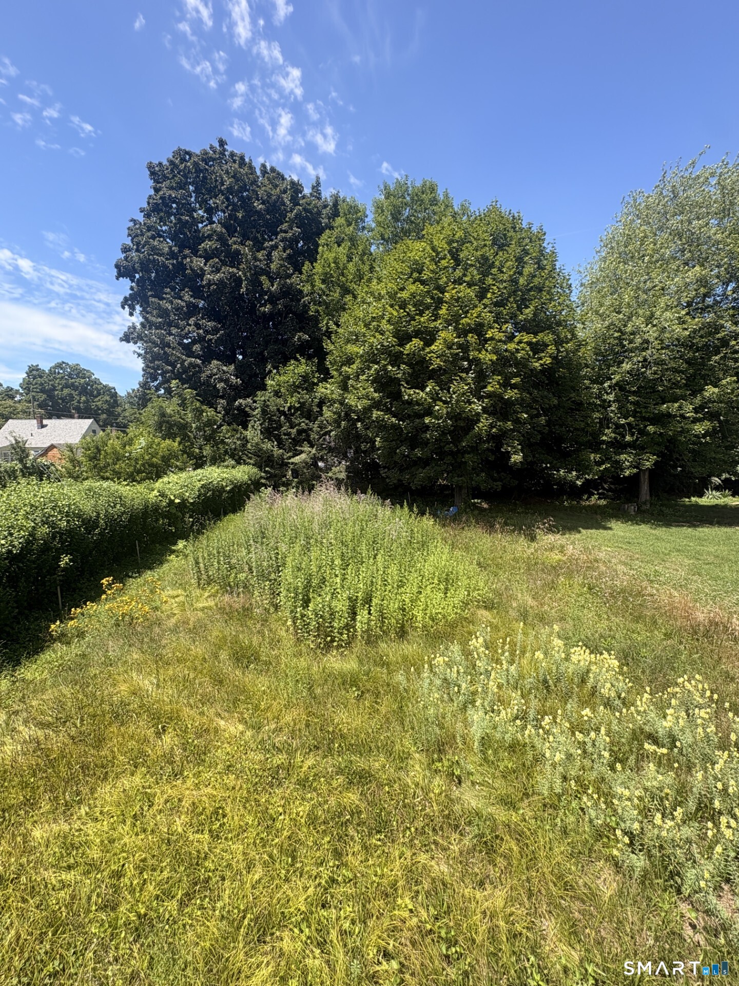 Milton Avenue Waterbury CT 06701