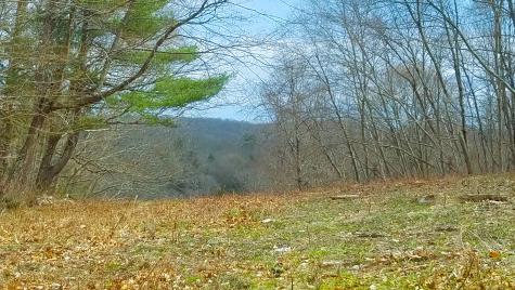 600 Berkshire Road Southbury CT 06488