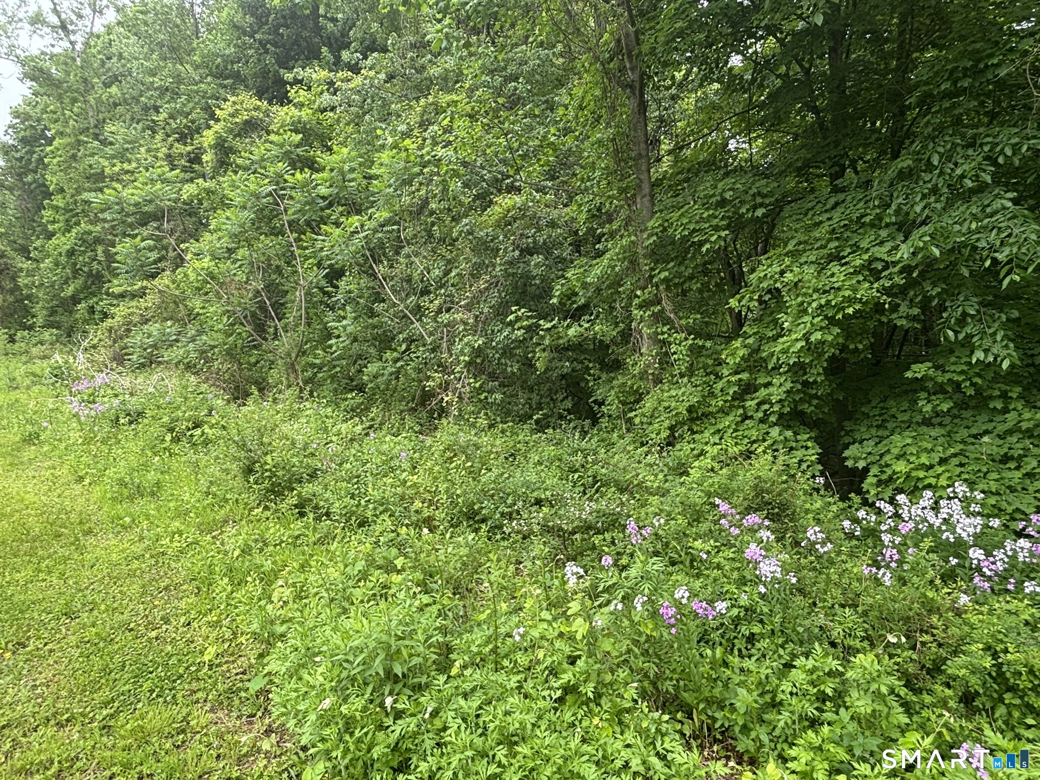 7 Holley Lane Prospect CT 06712