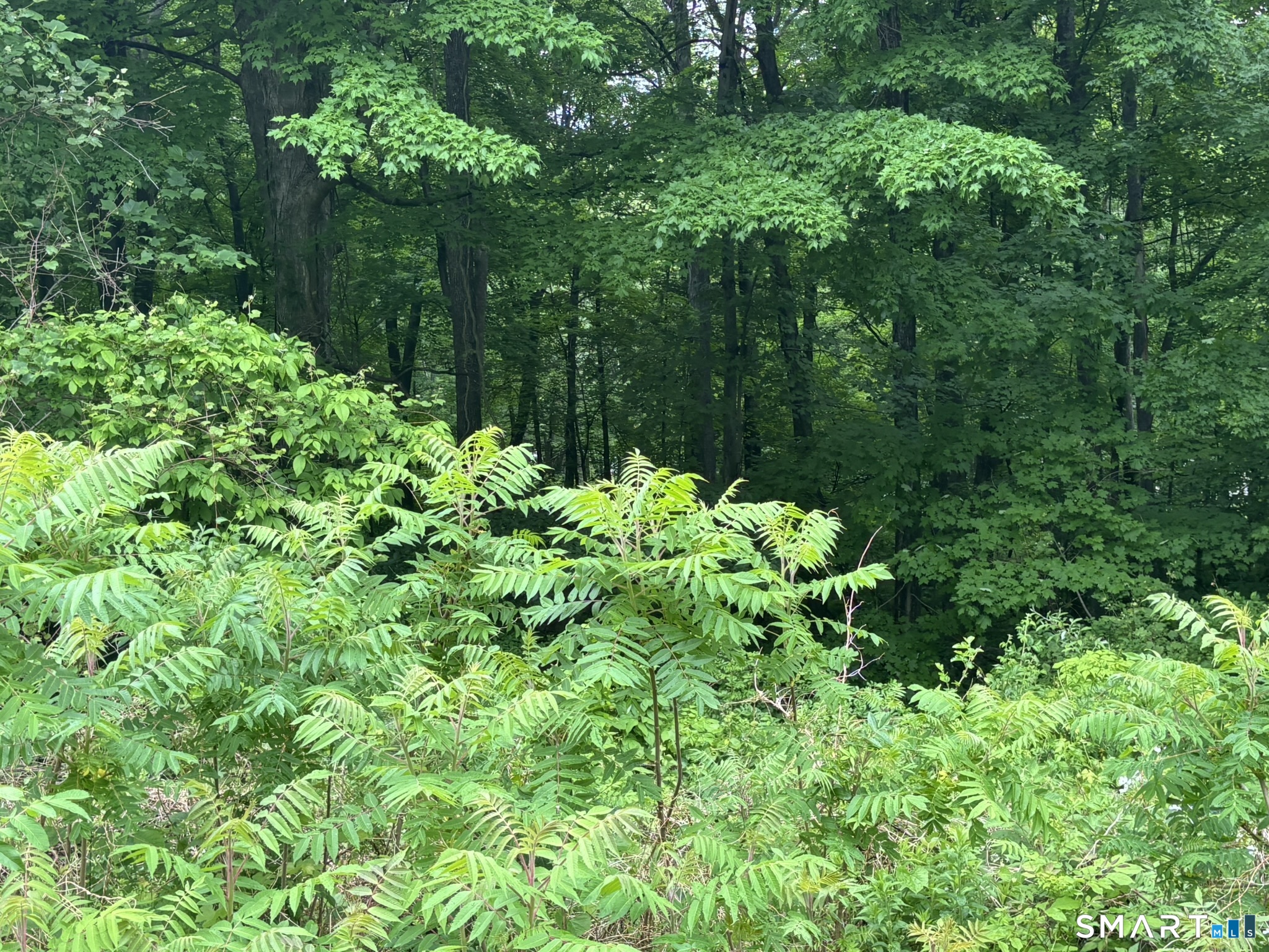 7 Holley Lane Prospect CT 06712