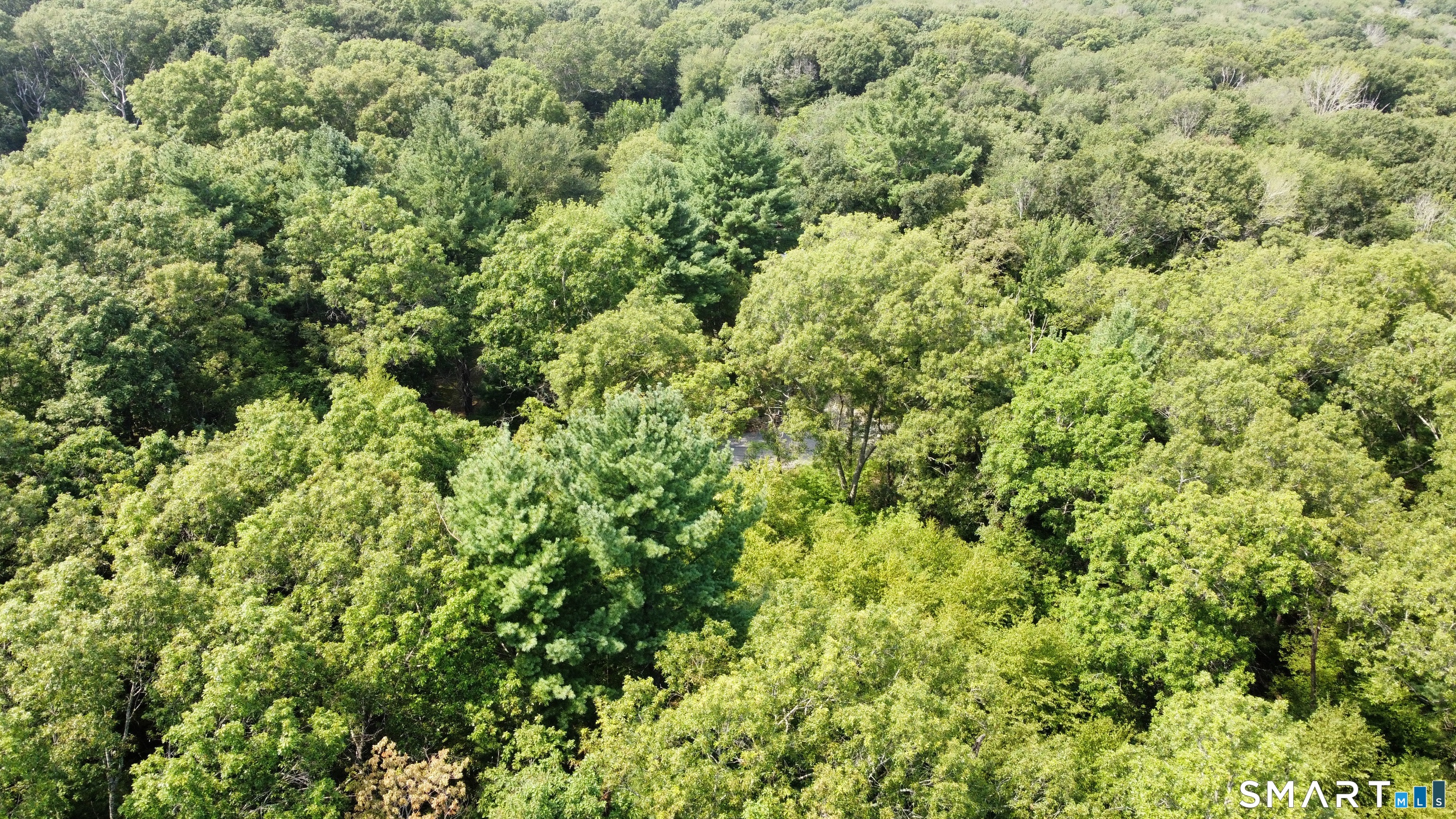 18 Ledge Hill Road Sterling CT 06377