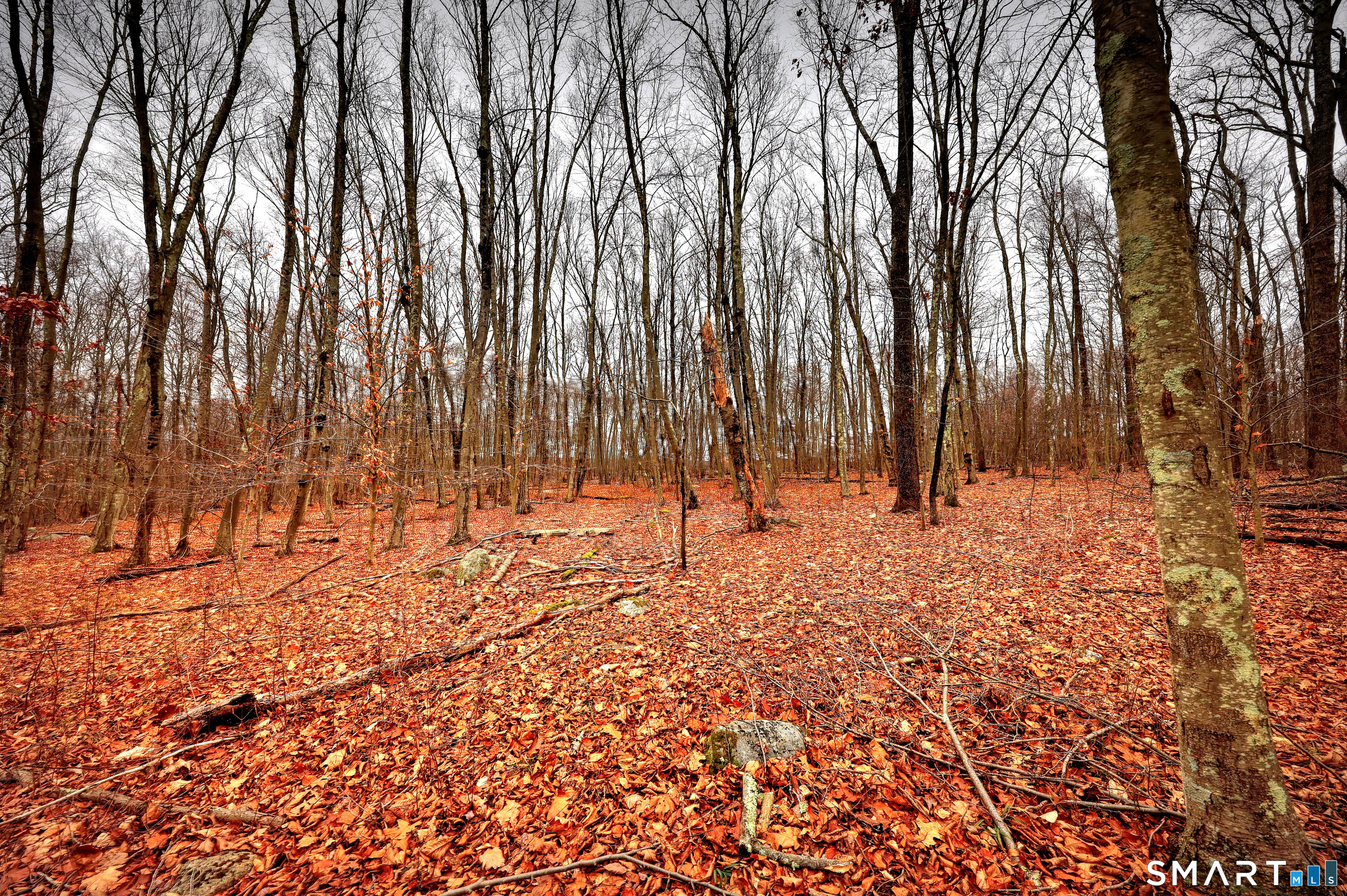 275-291 Hammertown Road Monroe CT 06468