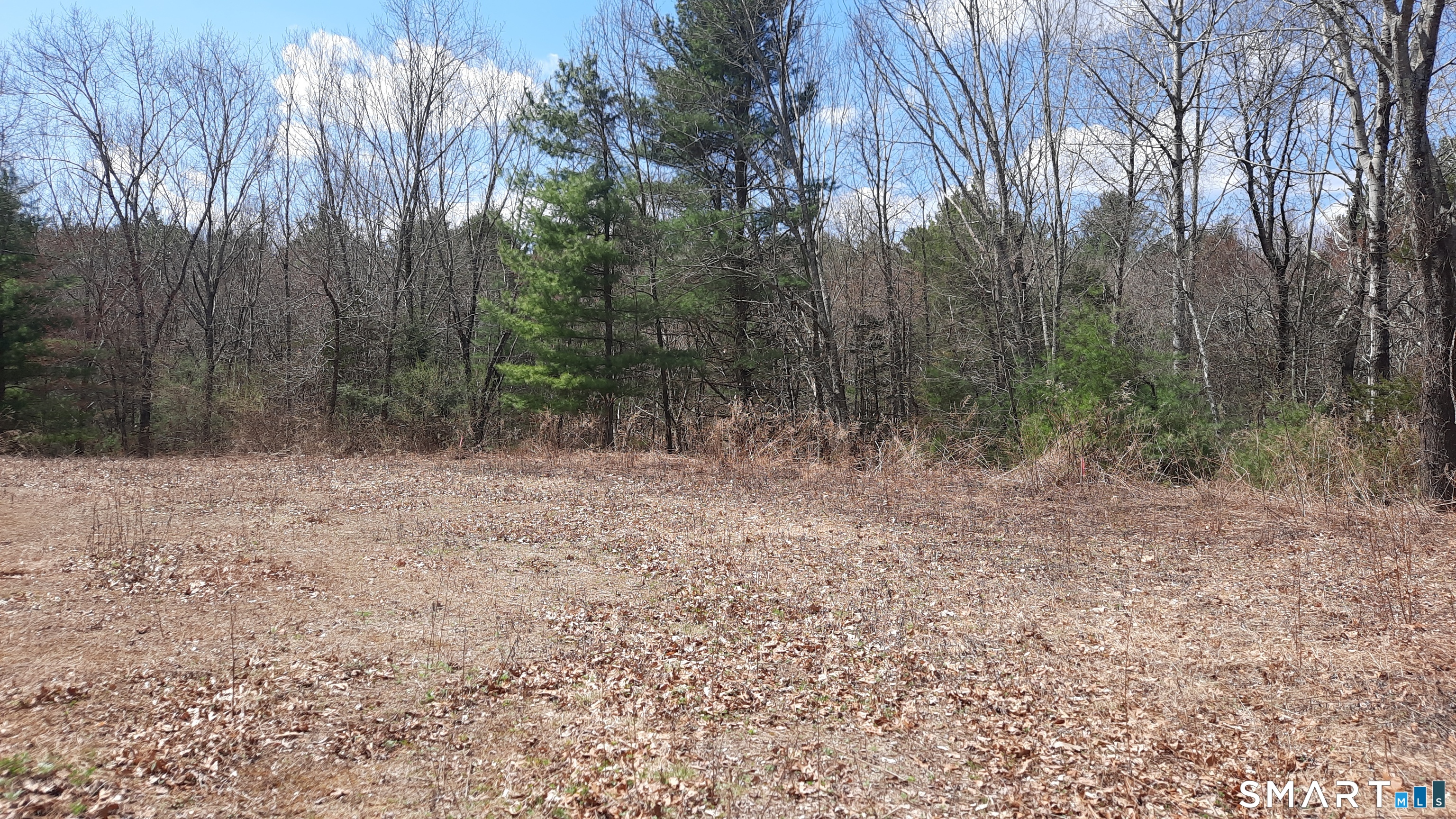 Lot 03-2 New Sweden Road Woodstock CT 06281