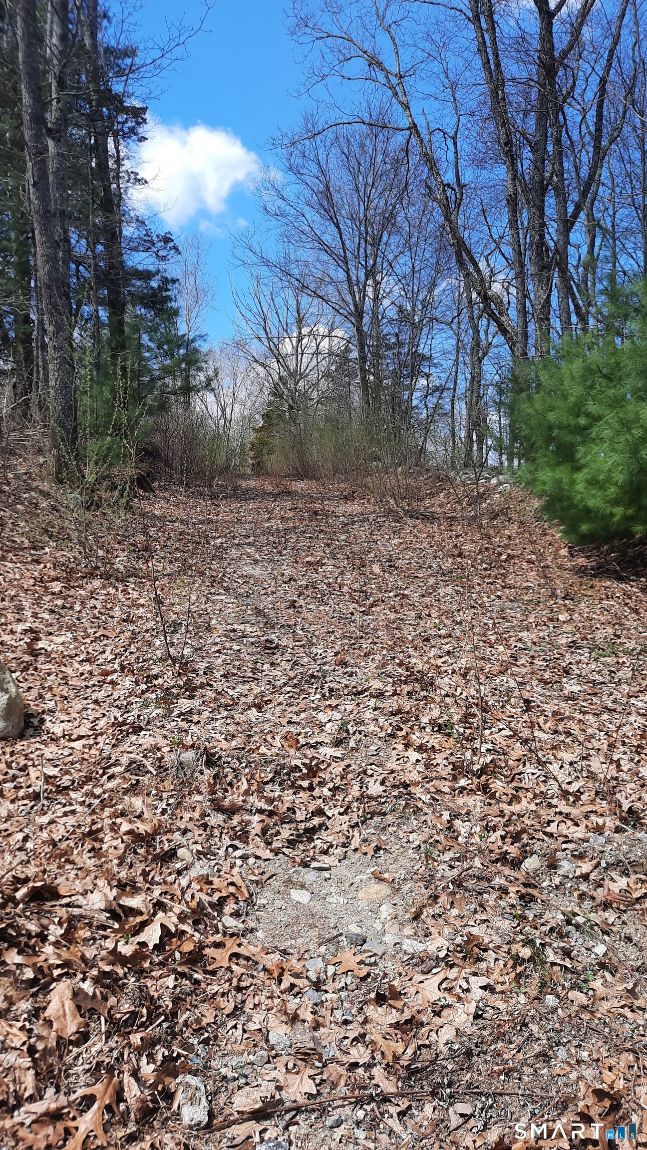 Lot 03-2 New Sweden Road Woodstock CT 06281