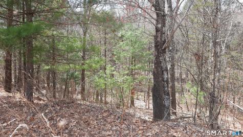 Lot 03-2 New Sweden Road Woodstock CT 06281