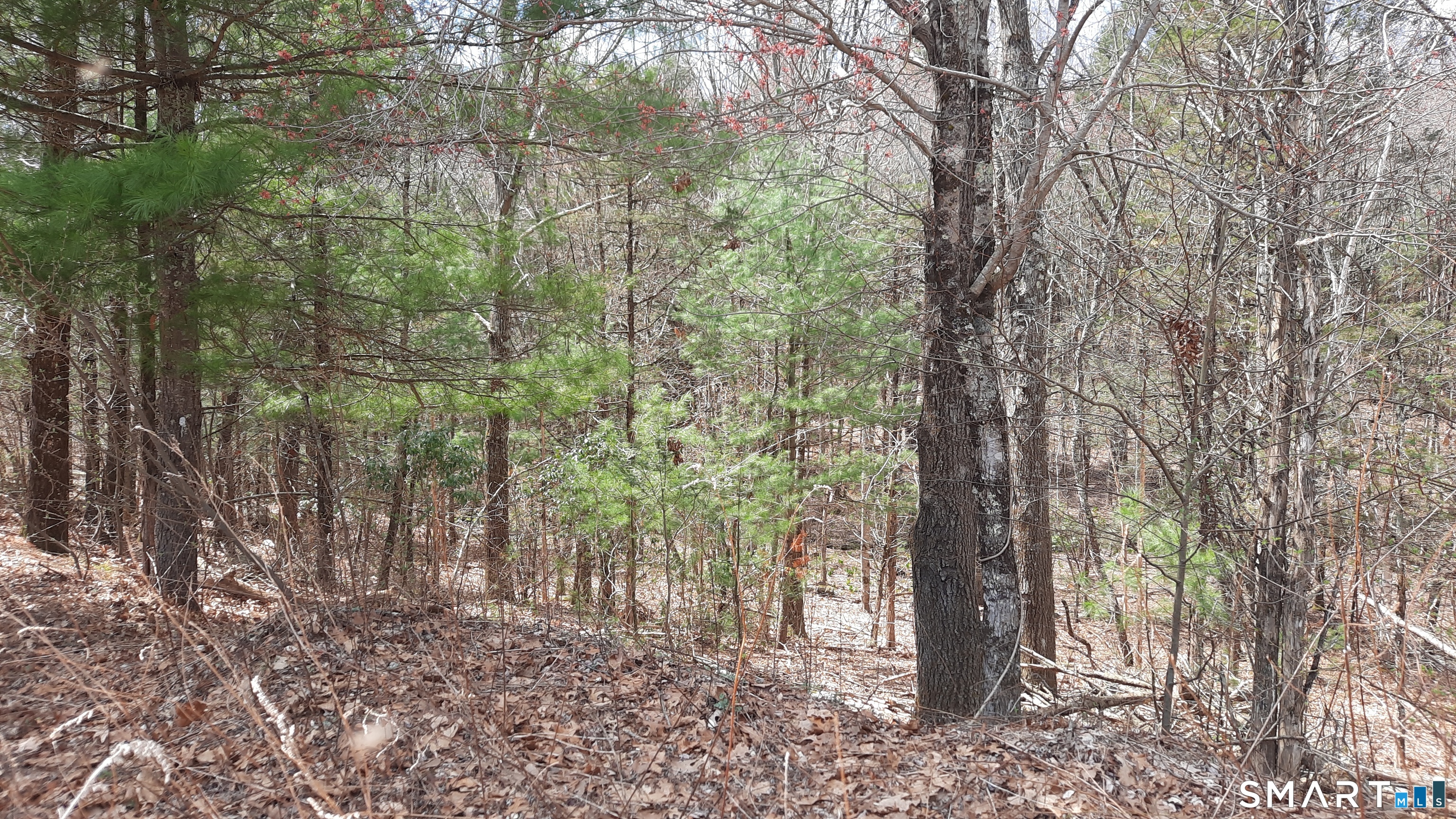 Lot 03-2 New Sweden Road Woodstock CT 06281