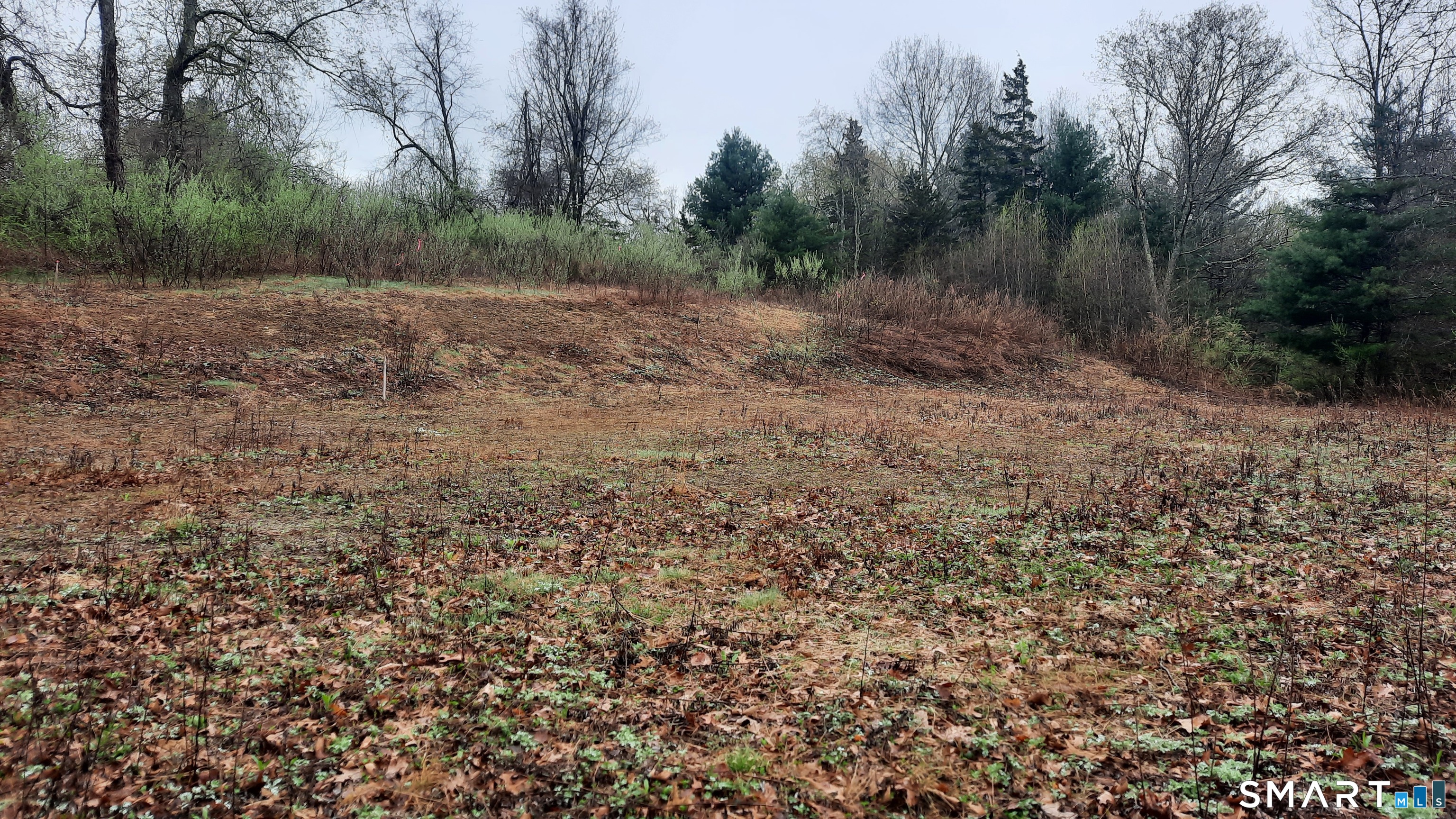 Lot 03-2 New Sweden Road Woodstock CT 06281