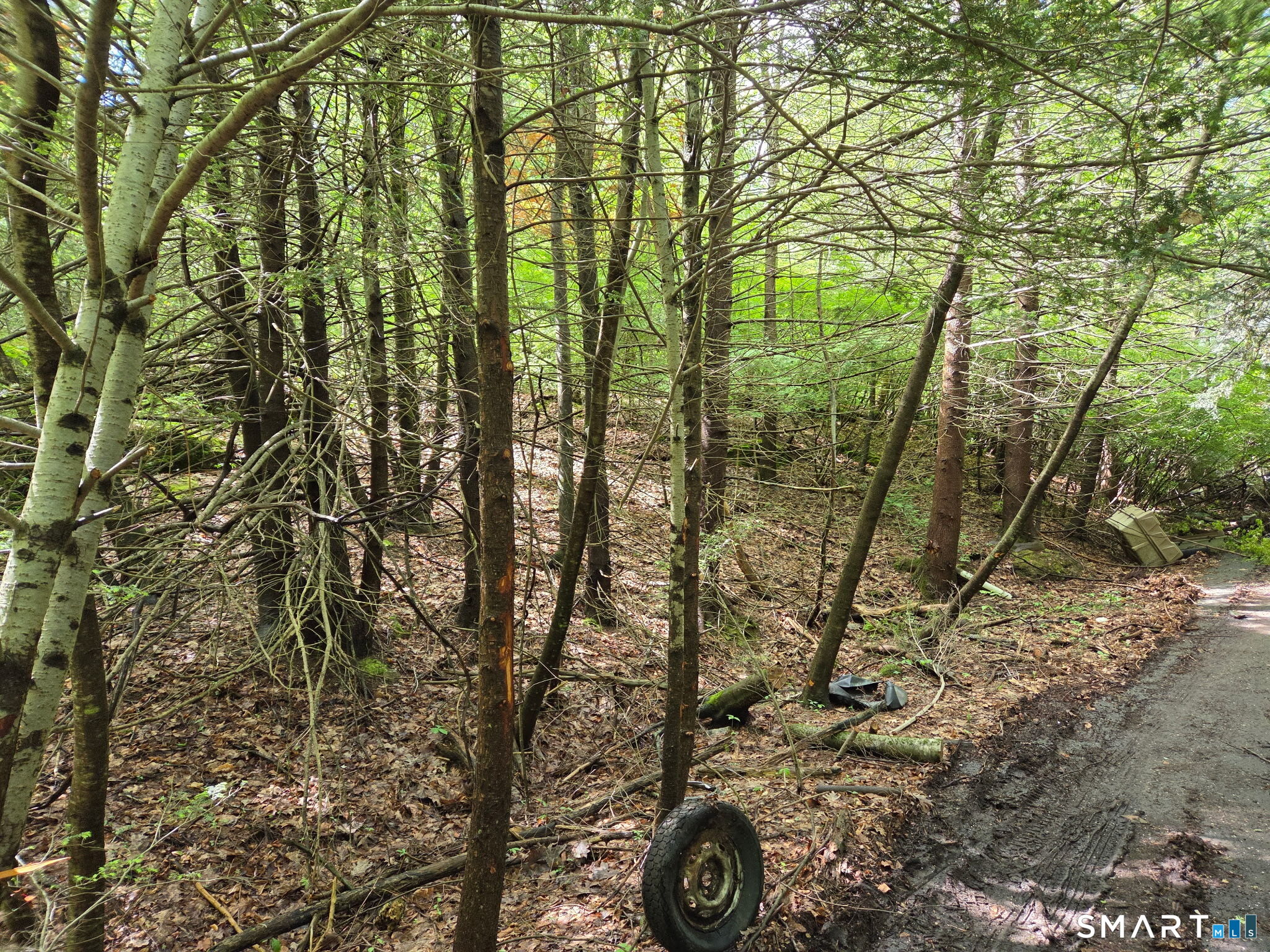 Davis Road Harwinton CT 06791