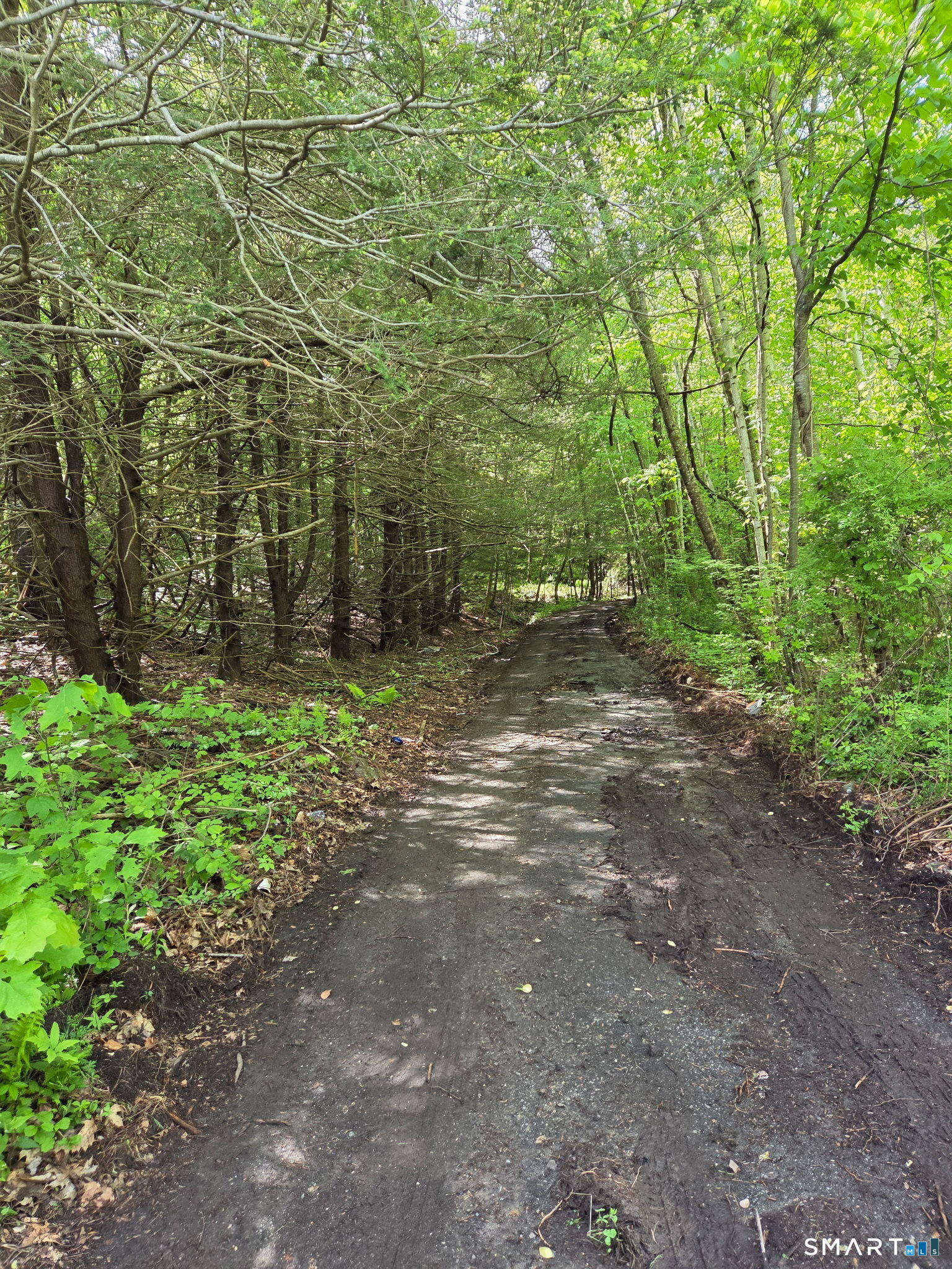 Davis Road Harwinton CT 06791