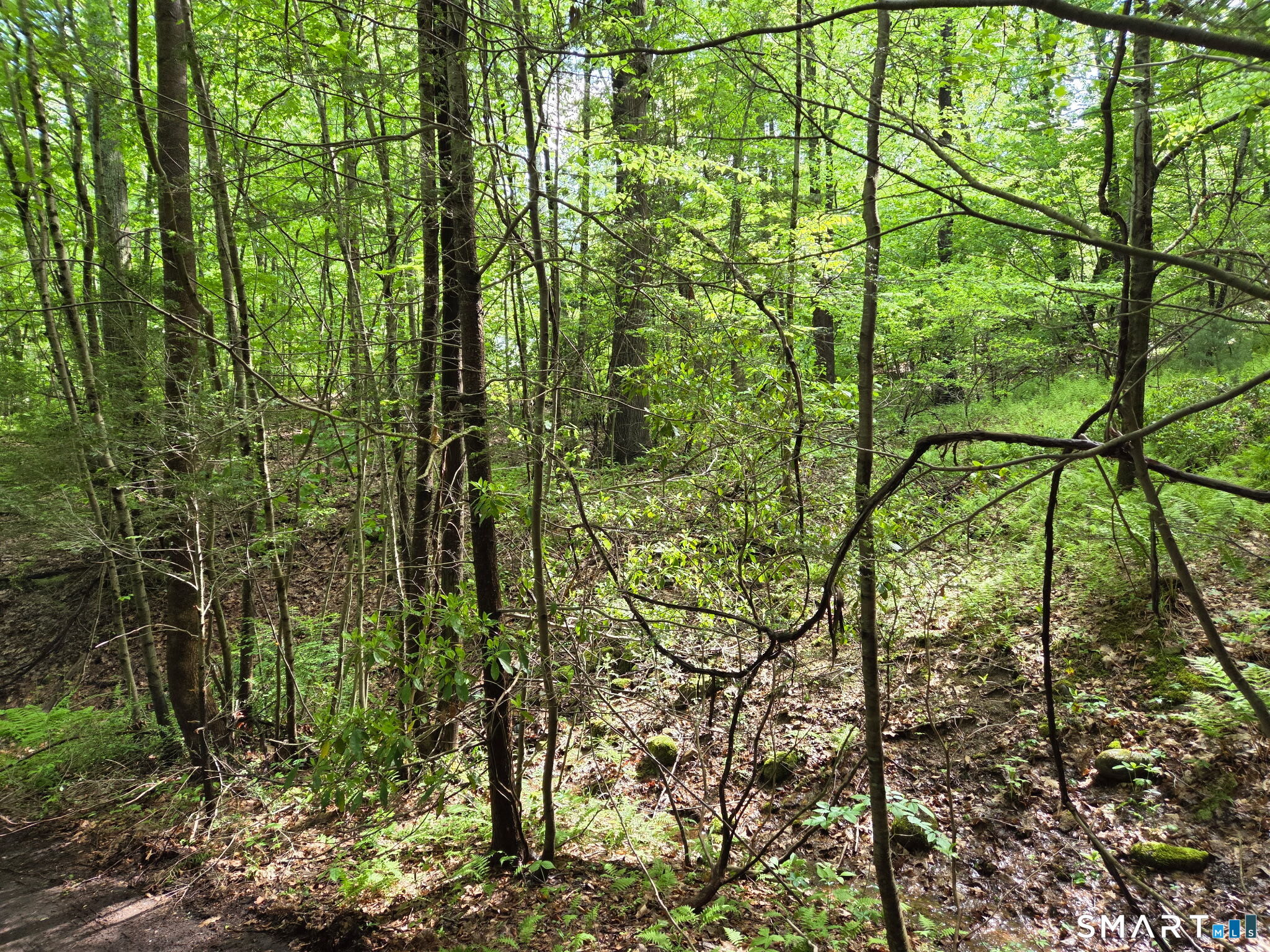 Davis Road Harwinton CT 06791