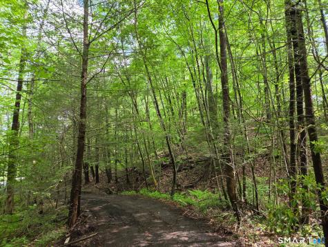 Davis Road Harwinton CT 06791