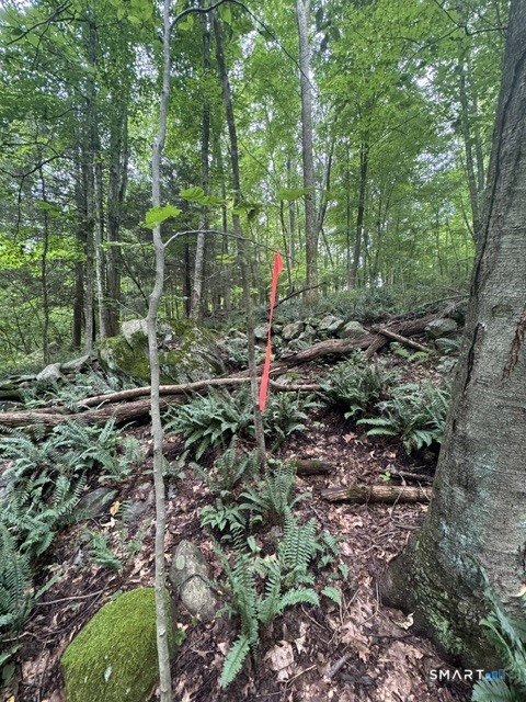 Storrs Road Mansfield CT 06268