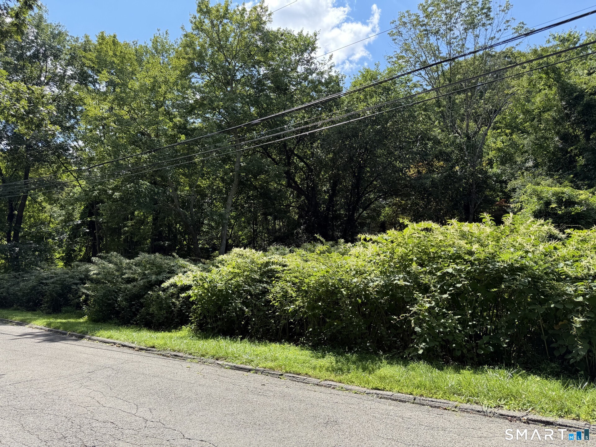 431 Haviland Road Stamford CT 06903