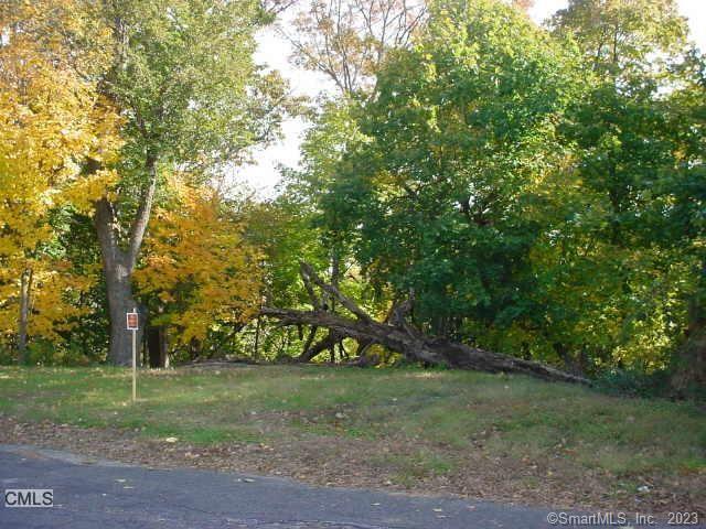 Lot 23 Wall Street Shelton CT 06484