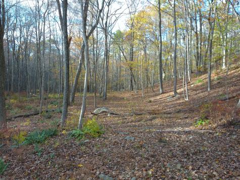 253 Clark Hill Road East Haddam CT 06423